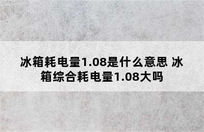 冰箱耗电量1.08是什么意思 冰箱综合耗电量1.08大吗